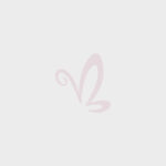 Love Empowerment CLinic